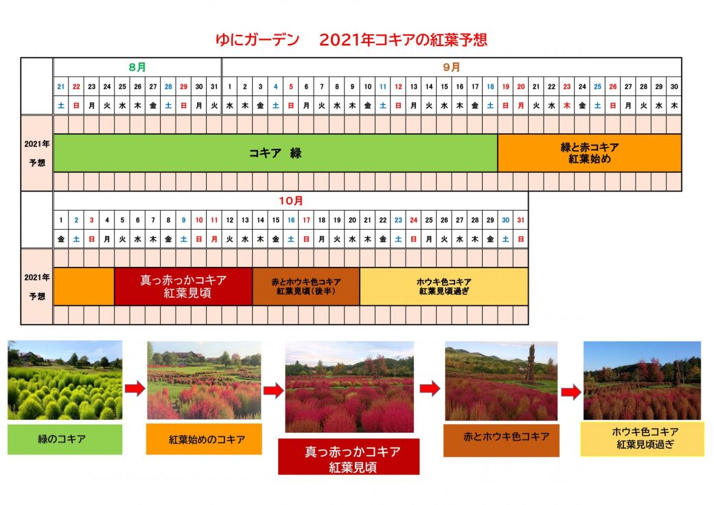 21 ゆにガーデンコキア紅葉予想 イベント お知らせ 北海道由仁町の庭園ゆにガーデン
