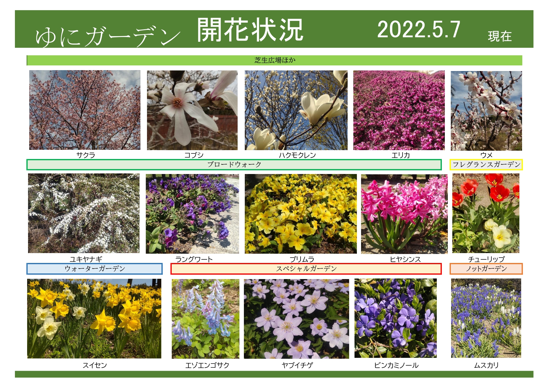 ゆにガーデン 5月7日現在｜開花情報｜お庭について｜北海道由仁町の