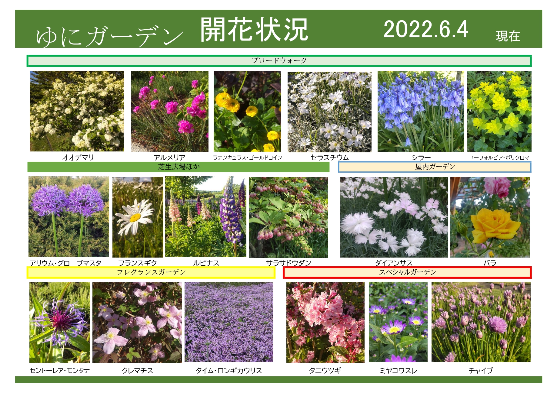 ふしぎな花倶楽部　4点　6.7.9.11エデングリーン額　日本ヴォーグ社 ふしぎな花倶楽部 - タグ | 日本ヴォーグ社