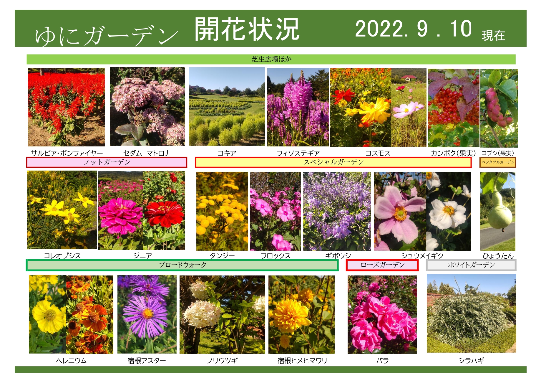 ゆにガーデン 9月10日現在｜開花情報｜お庭について｜北海道由仁