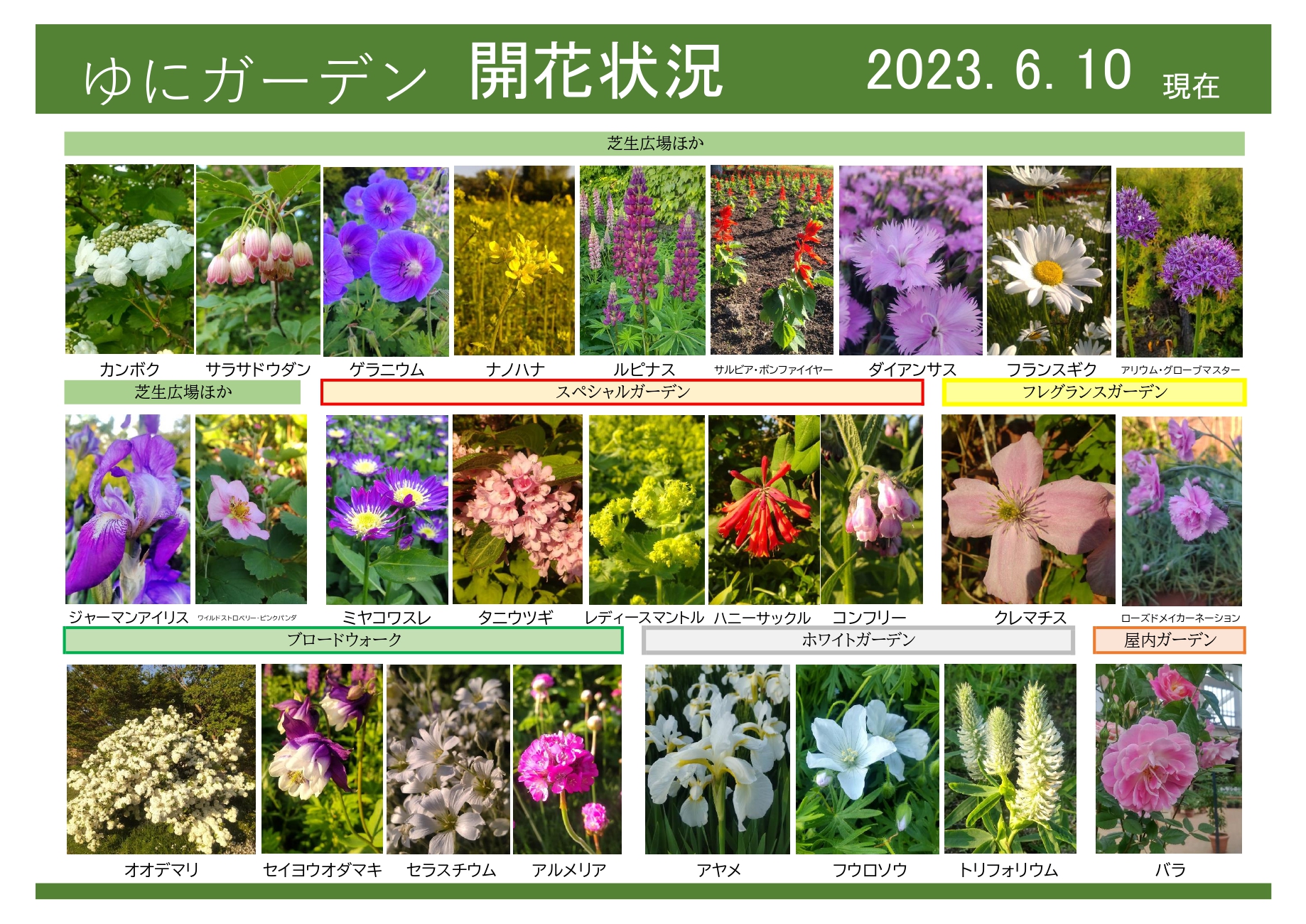 ゆにガーデン 6月10日現在｜開花情報｜お庭について｜北海道由仁町の