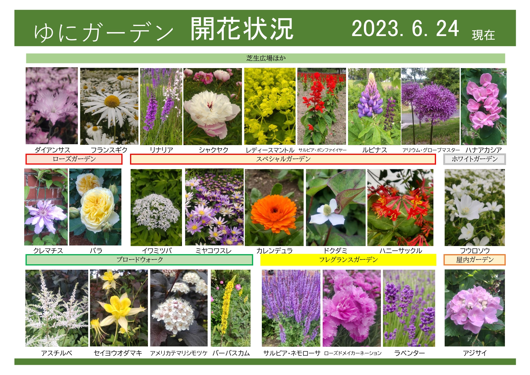 ゆにガーデン 6月24日現在｜開花情報｜お庭について｜北海道由仁町の