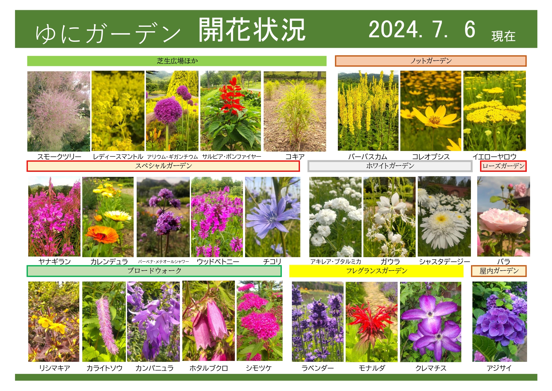 2024年7月6日 開花状況｜開花情報｜お庭について｜北海道由仁町の庭園
