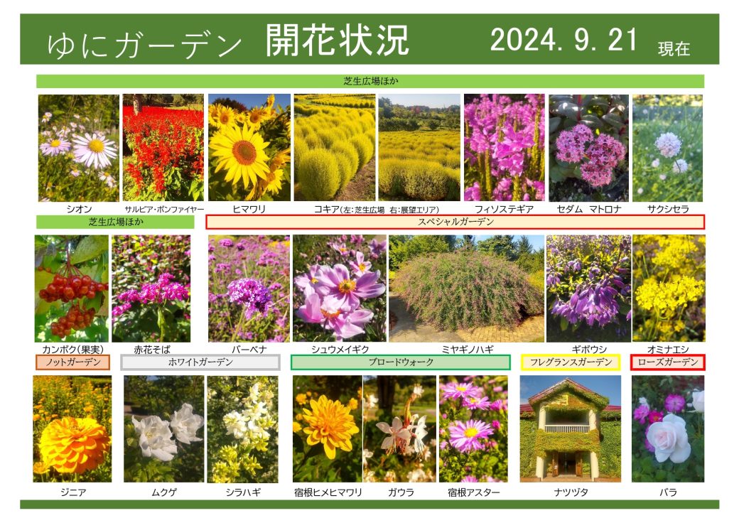 2024年9月21日　開花状況