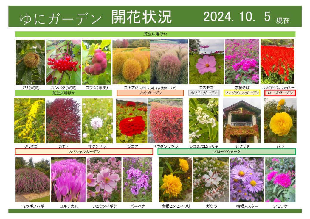 2024年10月5日　開花状況