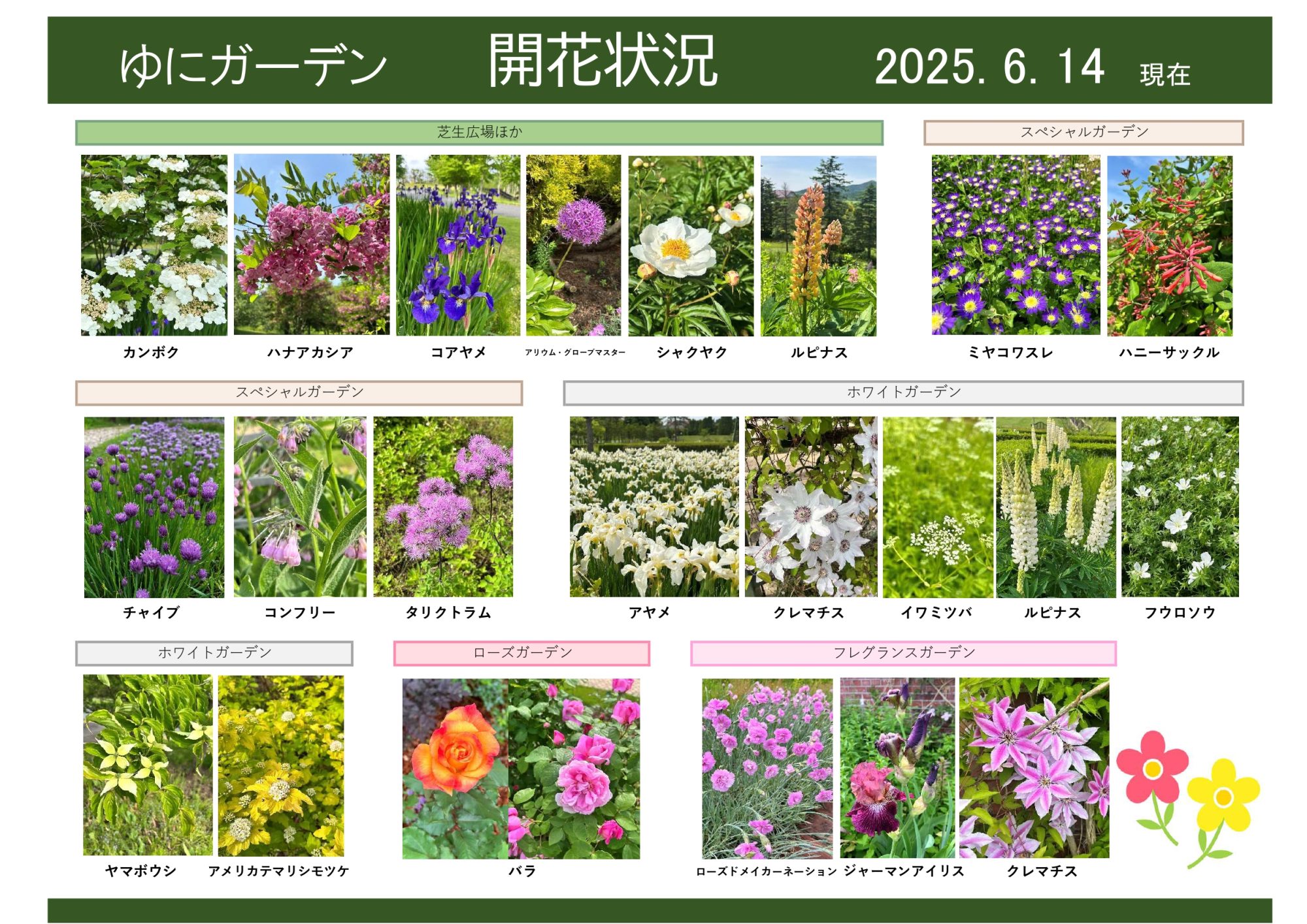 2025年6月14日 開花状況｜開花情報｜お庭について｜北海道由仁町の庭園