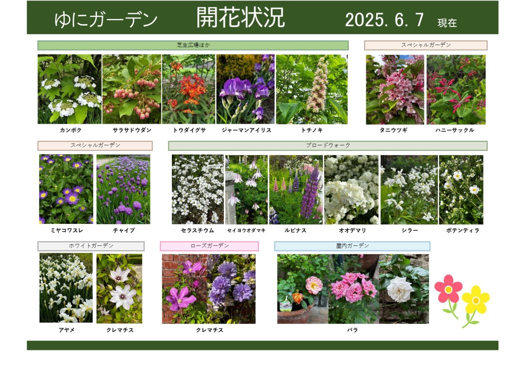 2025年6月7日　開花状況