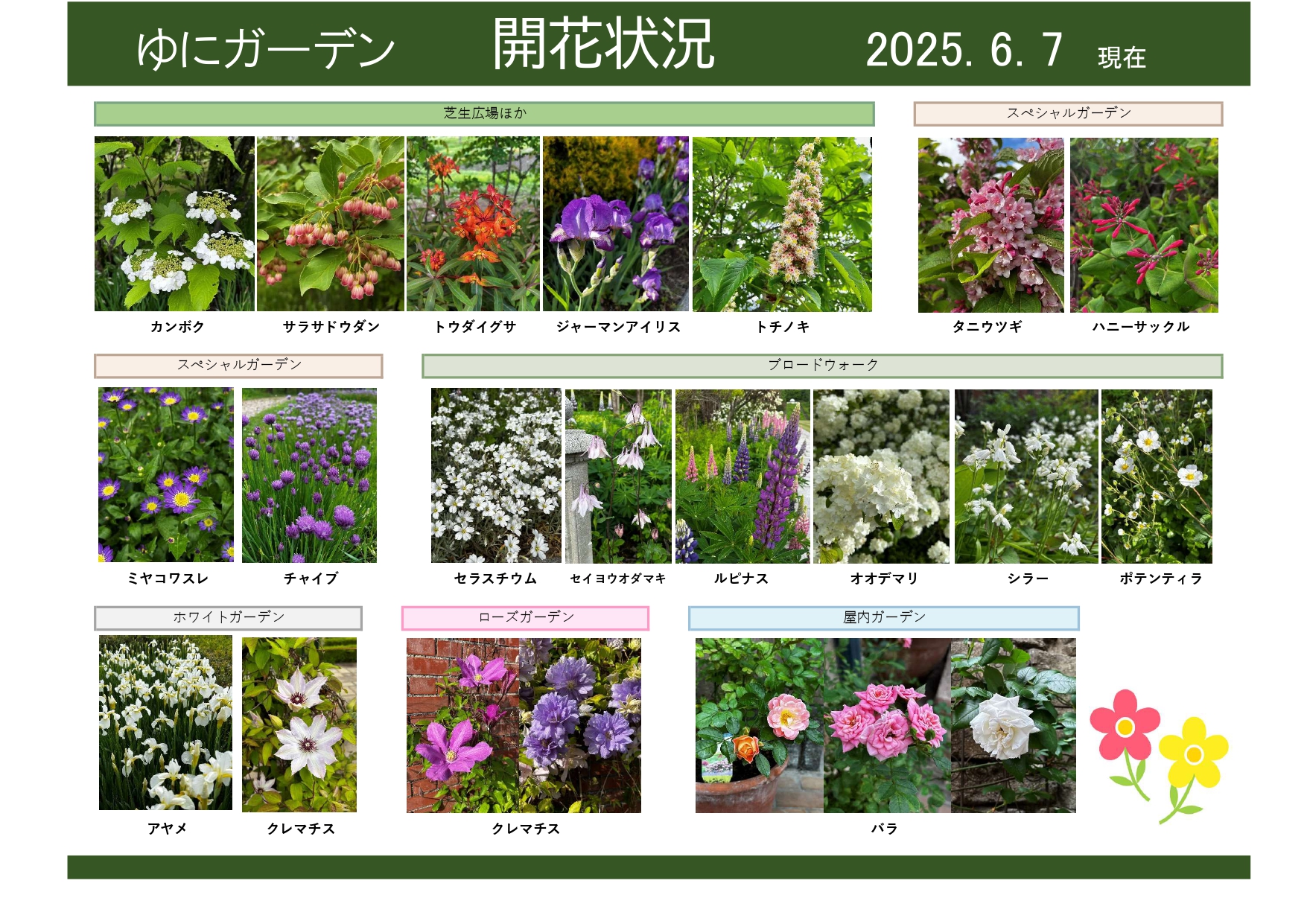 2025年6月7日 開花状況｜開花情報｜お庭について｜北海道由仁町の庭園