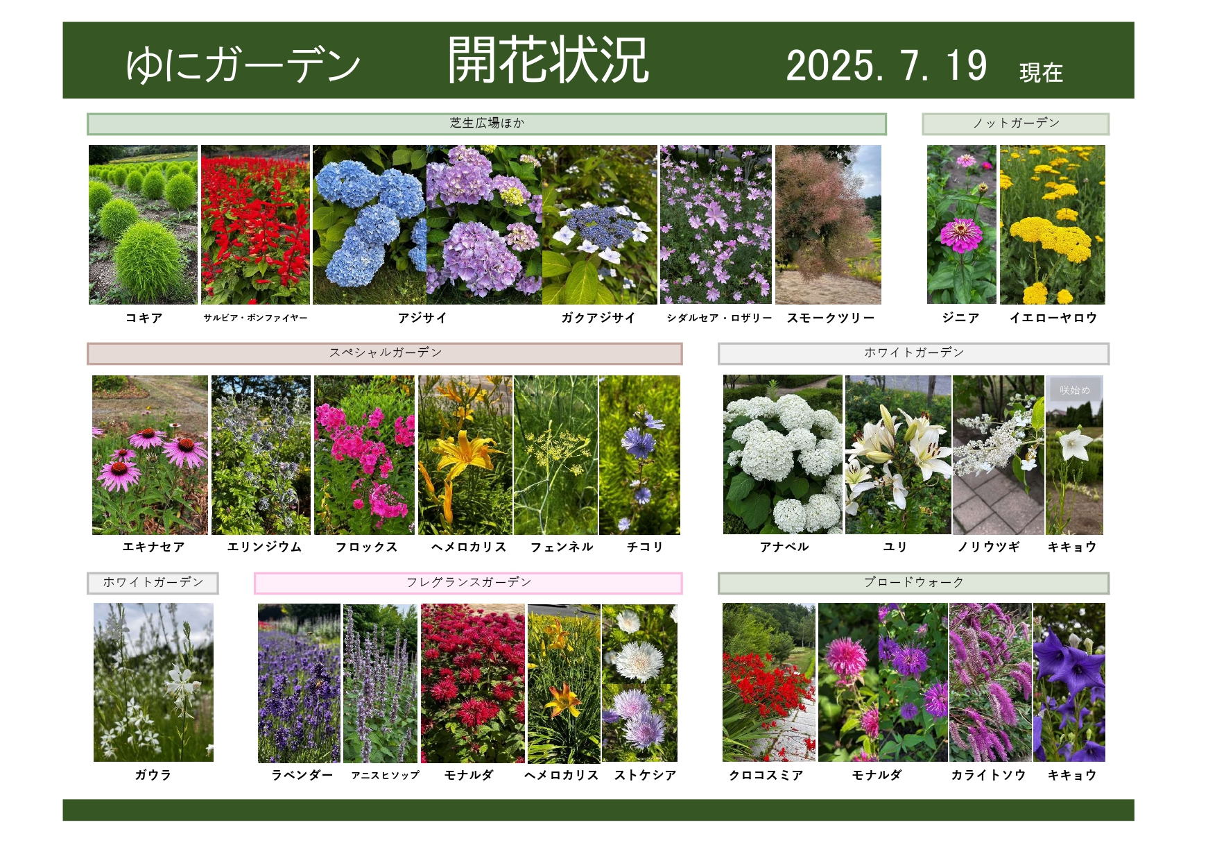 2025年7月19日 開花状況｜開花情報｜お庭について｜北海道由仁町の庭園
