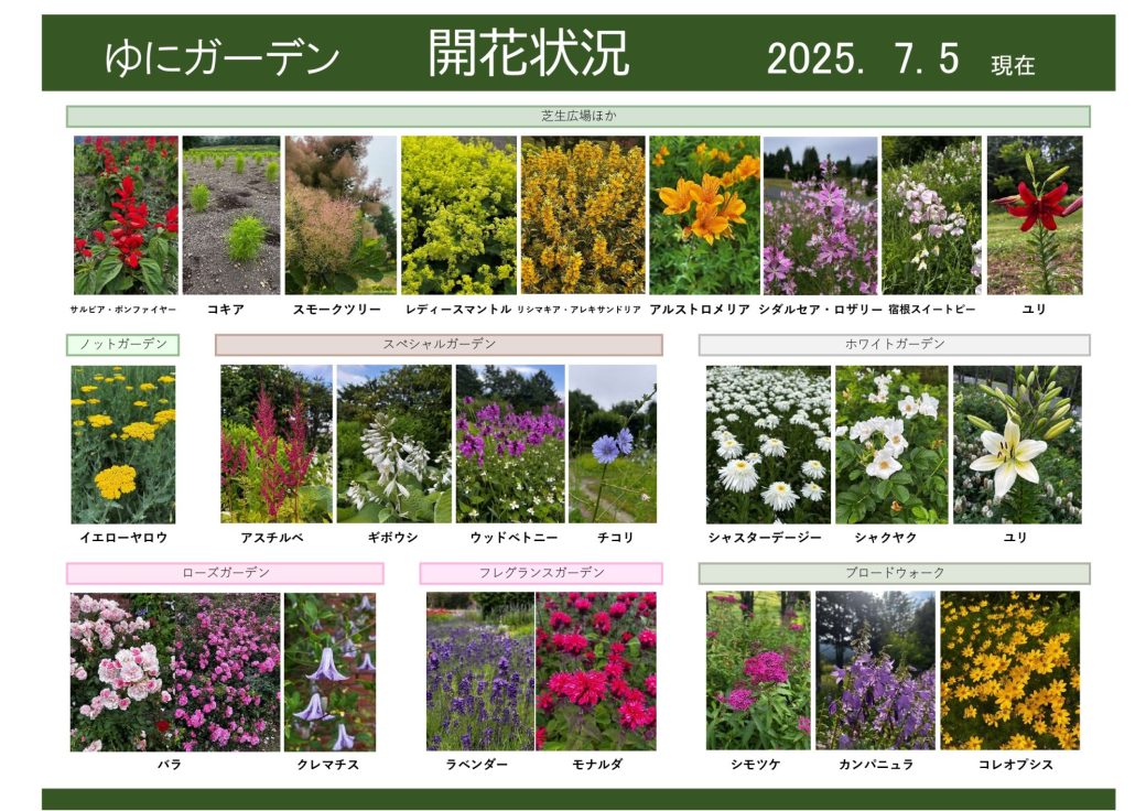2025年7月5日　開花状況