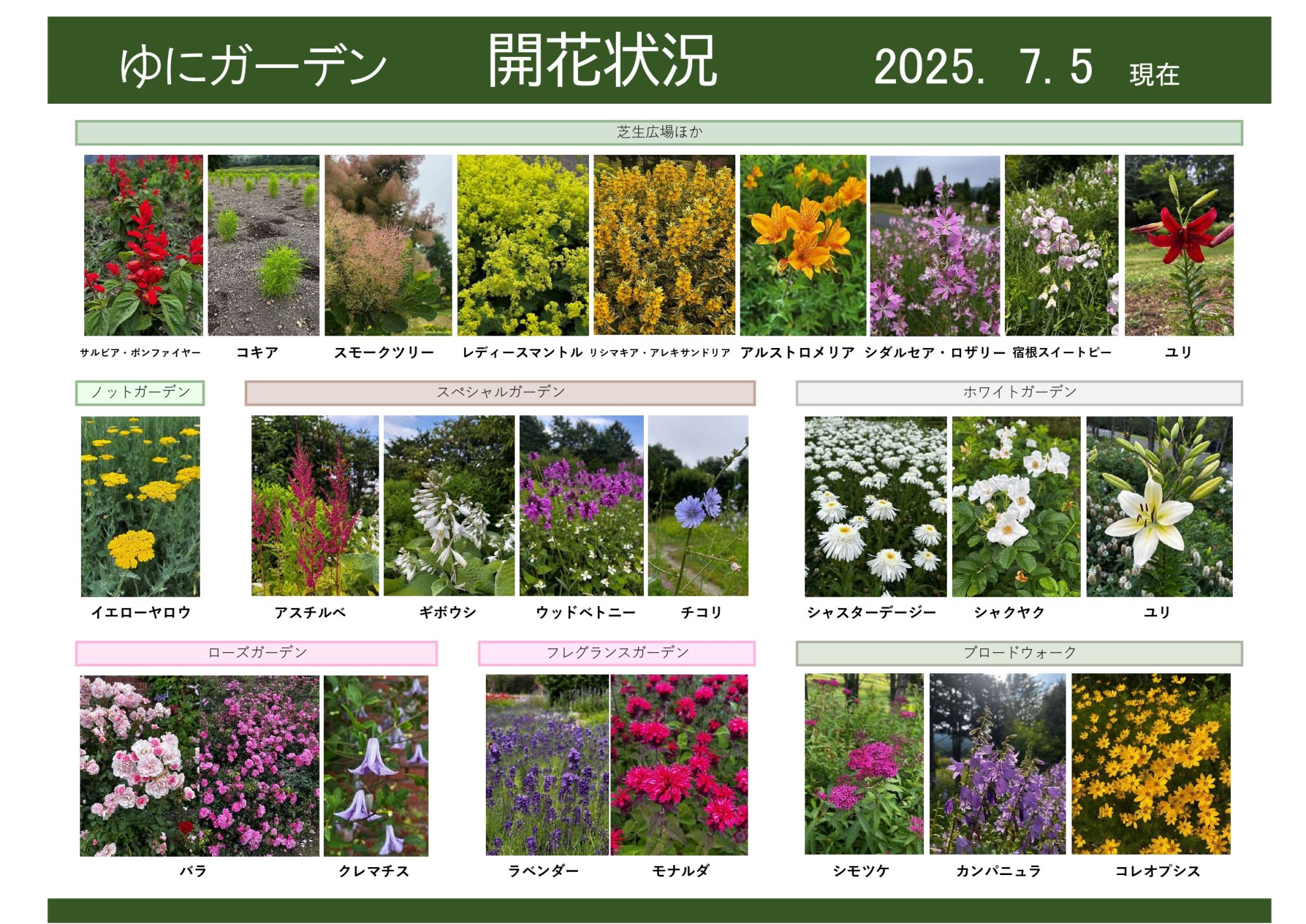 38乃花様確認用 ヴァイス 五等分の花嫁 中野二乃 SP サインカード 中野二乃 SSP