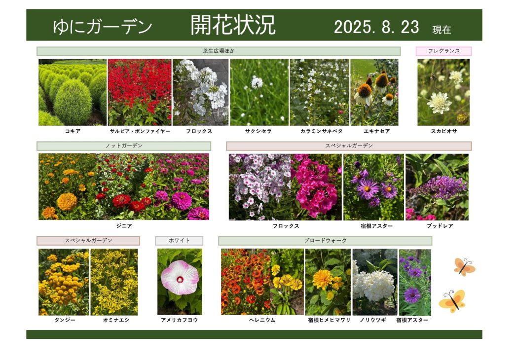 2025年8月23日　開花状況