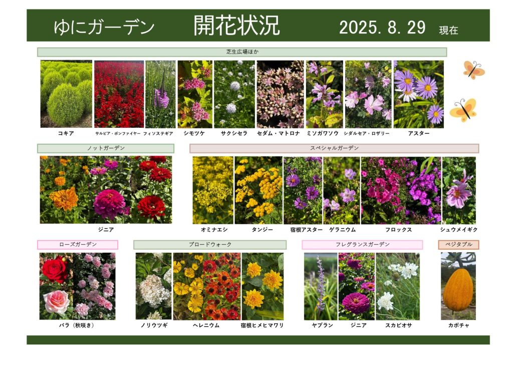 2025年8月29日　開花状況