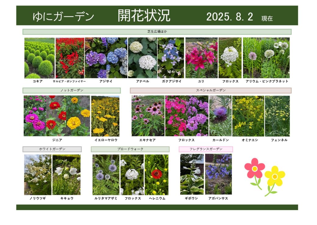 2025年8月2日　開花状況