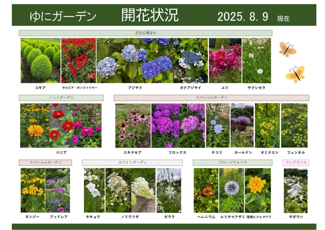 月花様確認用 2025年8月9日 開花状況｜開花情報｜お庭について｜北海道由仁町の庭園
