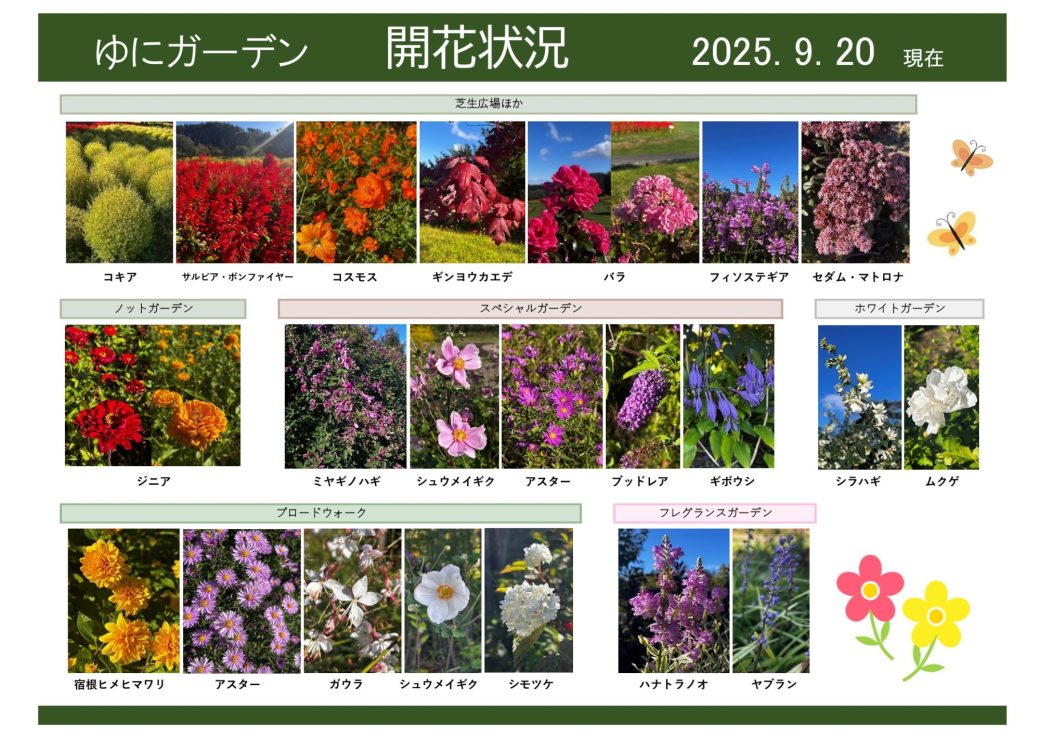 2025年9月20日　開花状況