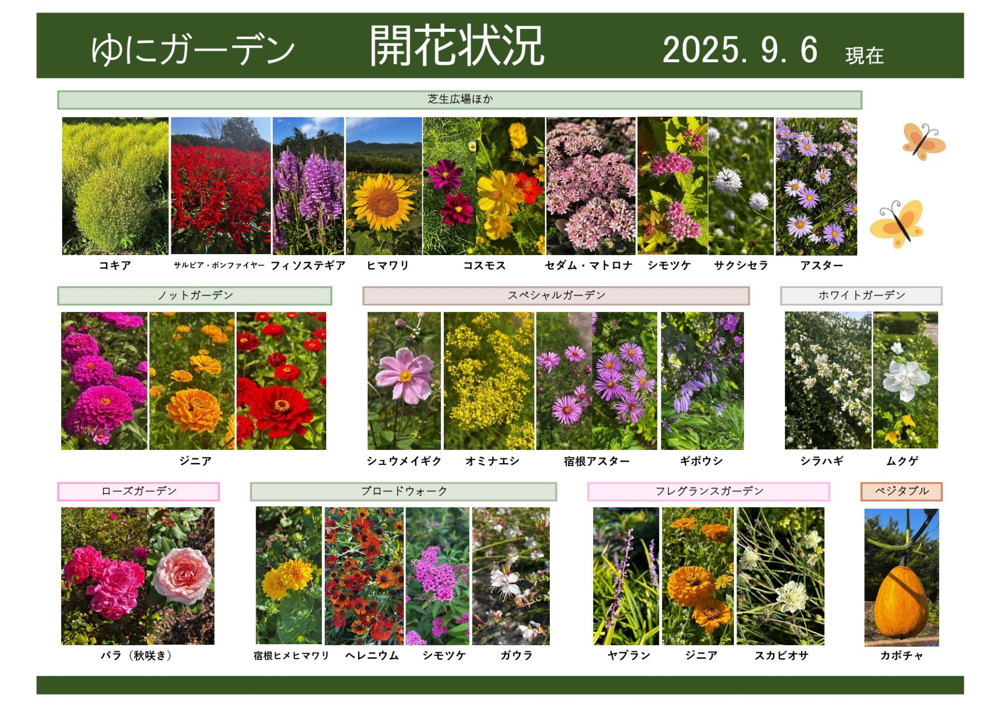 2025年9月6日 開花状況｜開花情報｜お庭について｜北海道由仁町の庭園