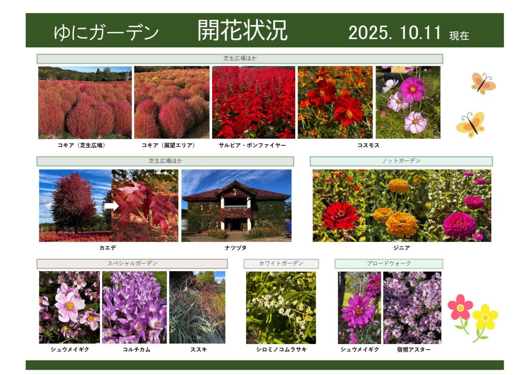2025年10月11日　開花状況