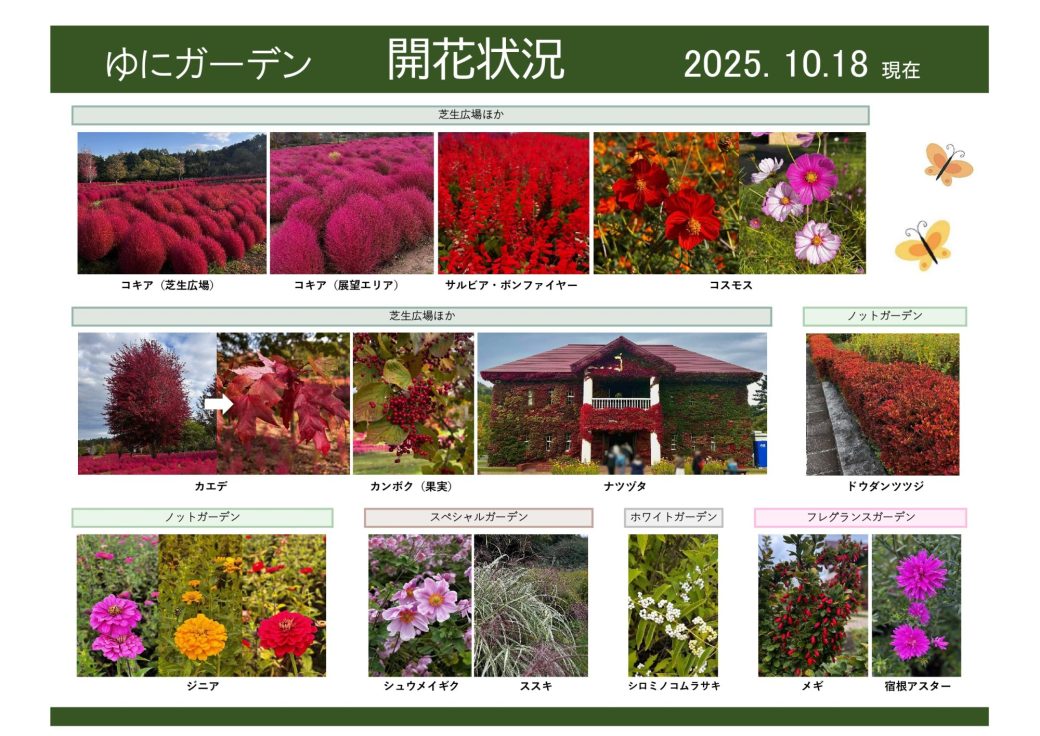 2025年10月18日　開花状況