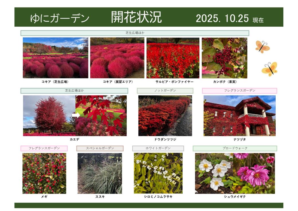 2025年10月25日　開花状況