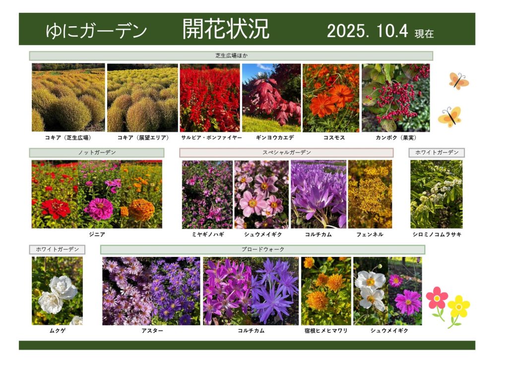 2025年10月4日　開花状況