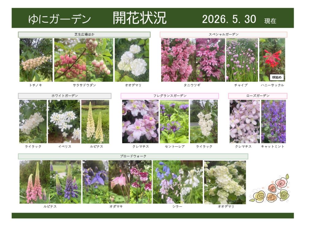 2026年5月30日　開花状況