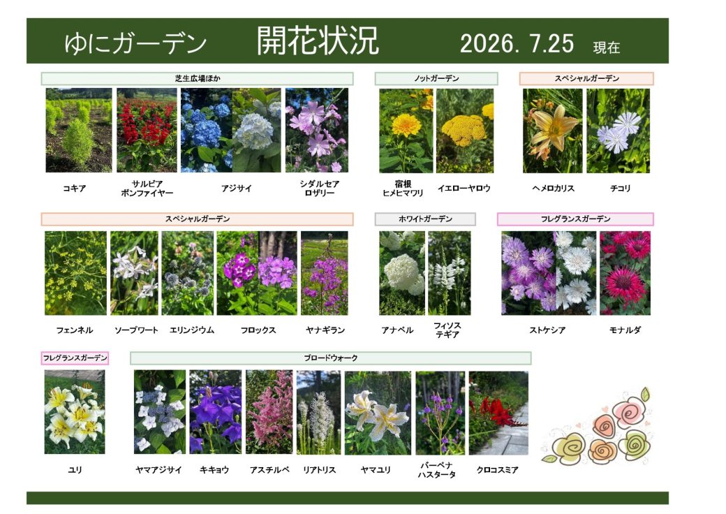 2026年7月25日　開花状況