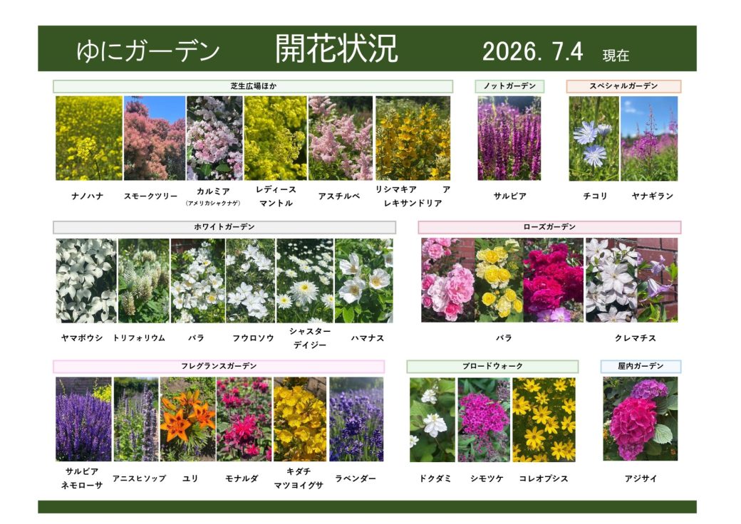 お庭について｜北海道由仁町の庭園ゆにガーデン