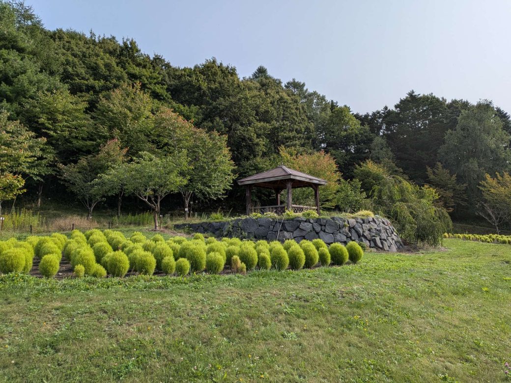 展望エリアの開放日程について